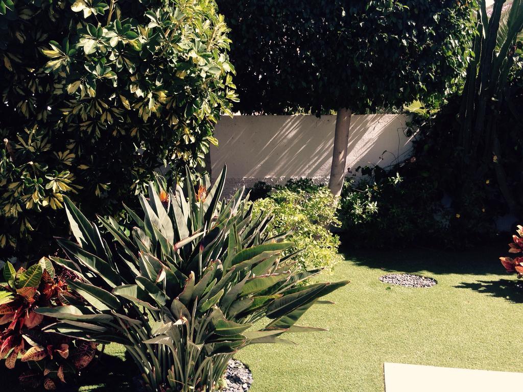 אדחה Villa Parque Del Conde, Ocean View מראה חיצוני תמונה